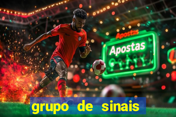 grupo de sinais mines whatsapp